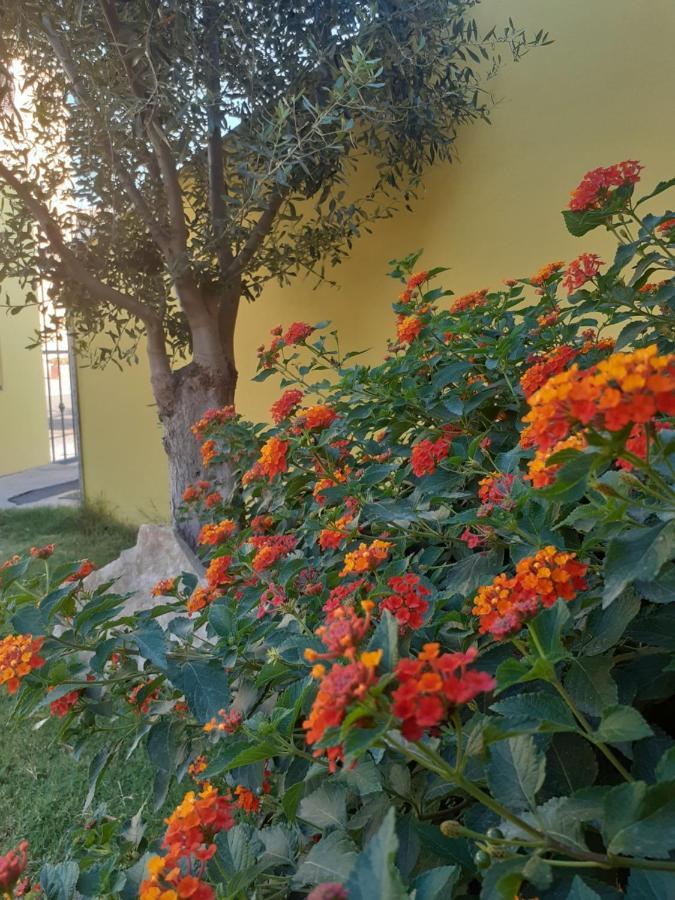 Appartamento a Pula in zona residenziale Esterno foto