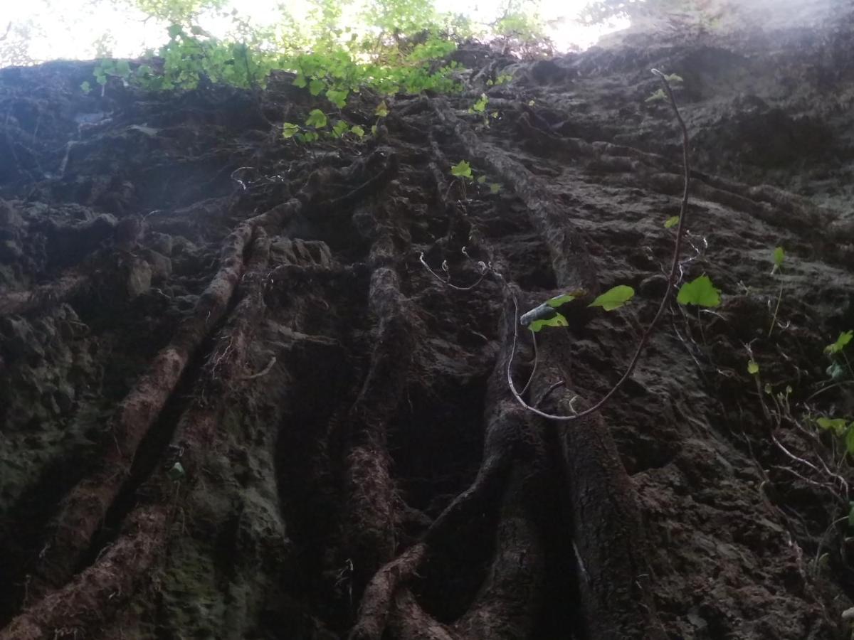 Appartamento a Pula in zona residenziale Esterno foto
